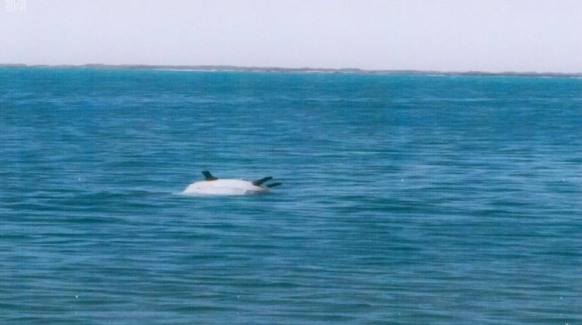 The Arab coalition said that it had removed and destroyed a total of 171 sea mines in the REd Sea randomly deployed by the Iranian-backed Houthi militia. (File/SPA) The Arab coalition said that it had removed and destroyed a total of 171 sea mines in the REd Sea randomly deployed by the Iranian-backed Houthi militia. (File/SPA)